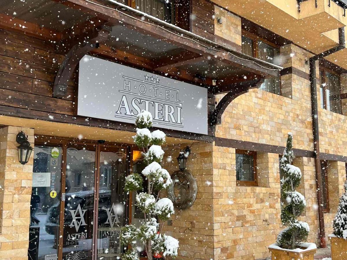 Hotel Asteri Bansko - Organic Food From Small Local Farms By Asteri Hotels Esterno foto